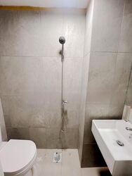 Cavenagh Lodge (D9), Apartment #475080351